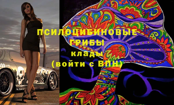 шишки Киреевск